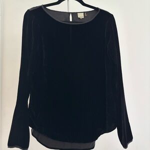 NWOT Ecru Black Velvet Blouse